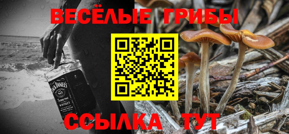 Псилоцибиновые грибы ЛСД  Вход с VPN  Саяногорск  Галлюциногенные грибы Cubensis 
